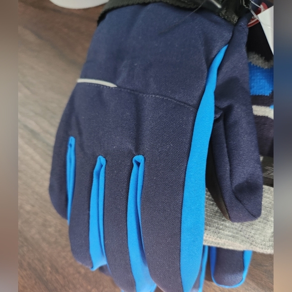 Blue and Gray Winter Gloves - Picture 3 of 6